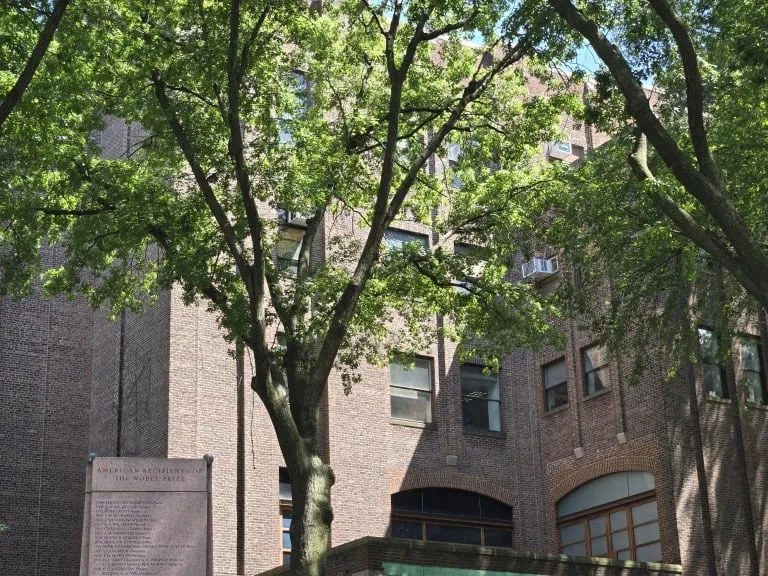 دوربین Samsung Galaxy Z Fold 6