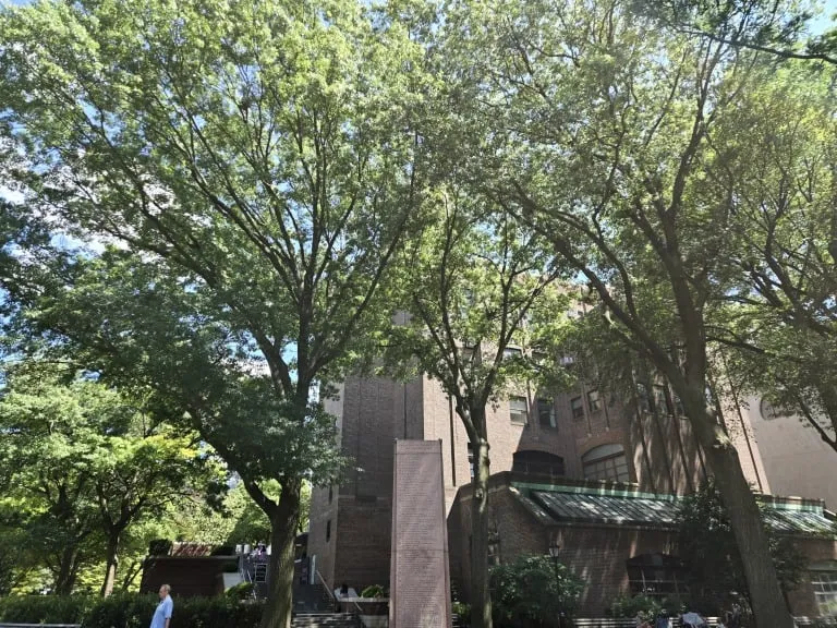 دوربین Samsung Galaxy Z Fold 6