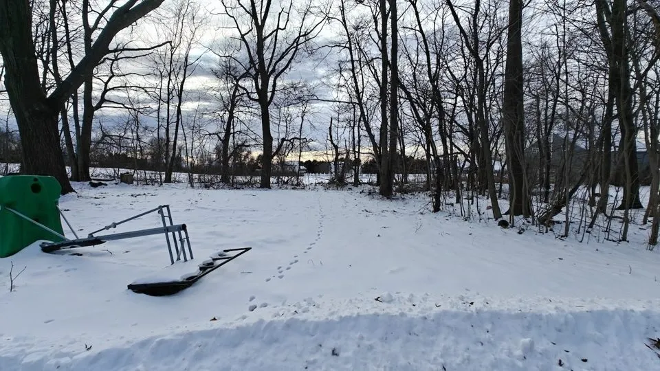 دوربینهای OnePlus 12