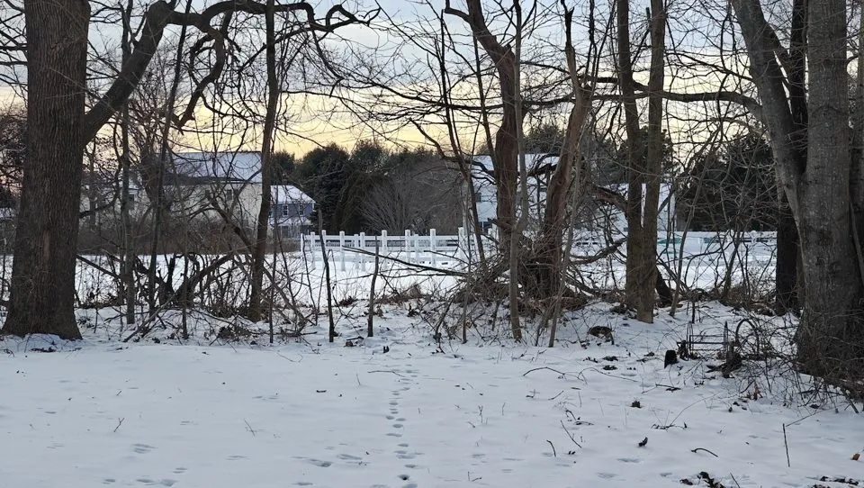 دوربینهای وان پلاس 12