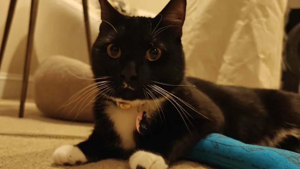 دوربینهای وان پلاس 12