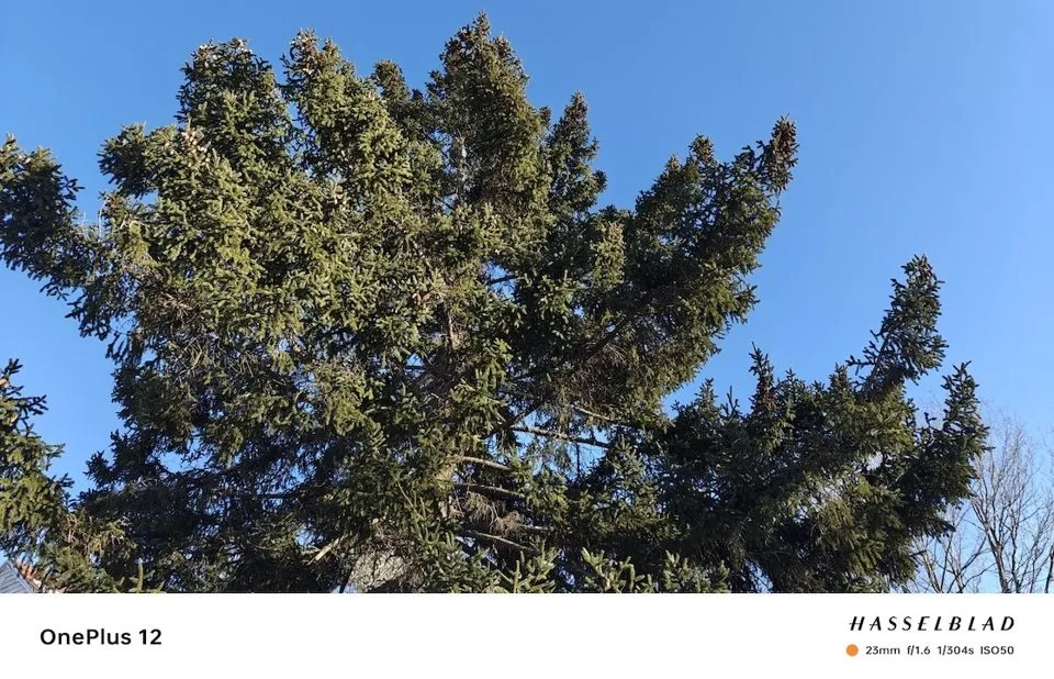 دوربینهای OnePlus 12