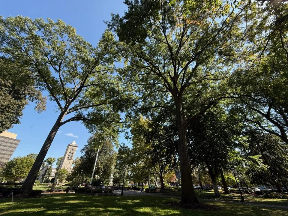 دوربینهای آیفون 16 پرو مکس