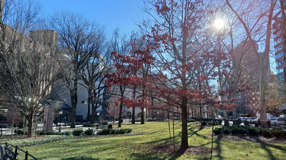 دوربینهای Samsung Galaxy A15 5G