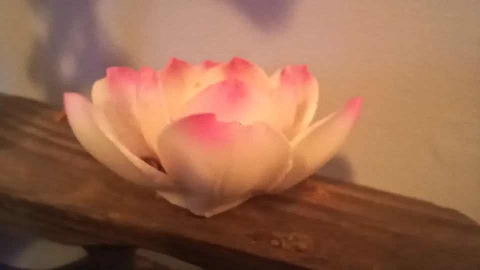 دوربینهای Samsung Galaxy A15 5G