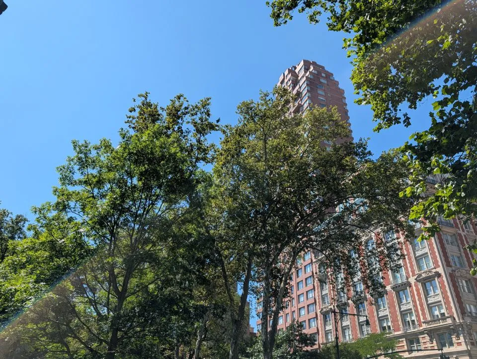 دوربین اصلی گوگل پیکسل 10 پرو