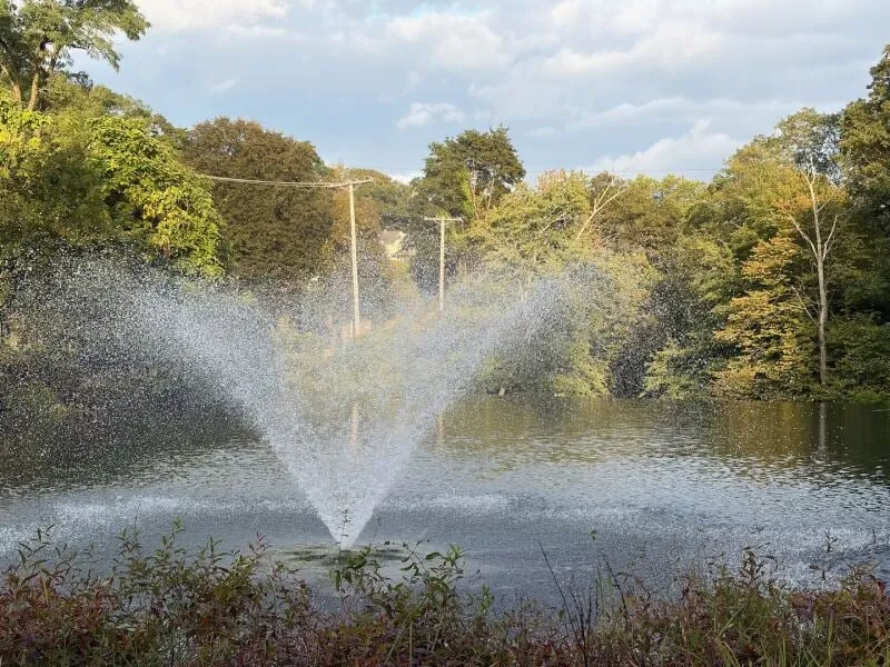 دوربین Apple iPhone 17