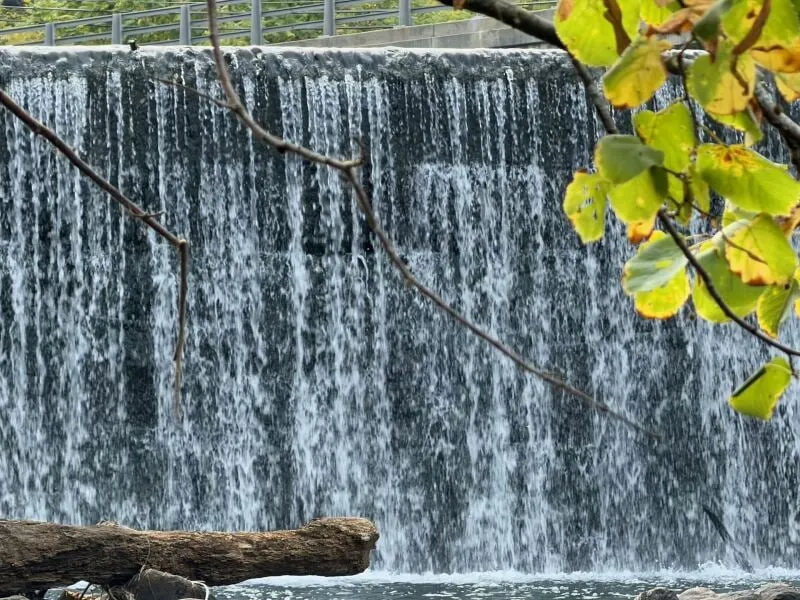 دوربین Apple iPhone 17 Pro Max