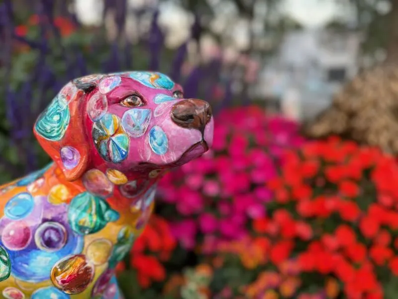 دوربین Apple iPhone 17 Pro Max